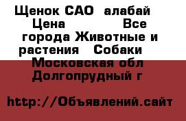 Щенок САО (алабай) › Цена ­ 10 000 - Все города Животные и растения » Собаки   . Московская обл.,Долгопрудный г.